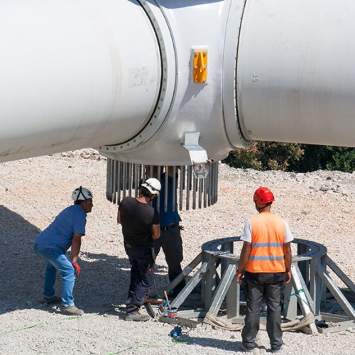 Asla_Dogliola_08 1 500x500