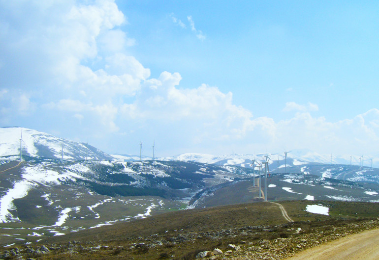 ASLA_Collarmele_I_13